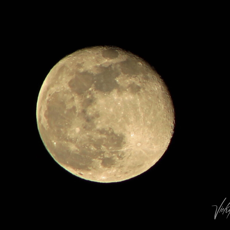 a detailed closeup of the nearly full moon showing craters and other lunar features
